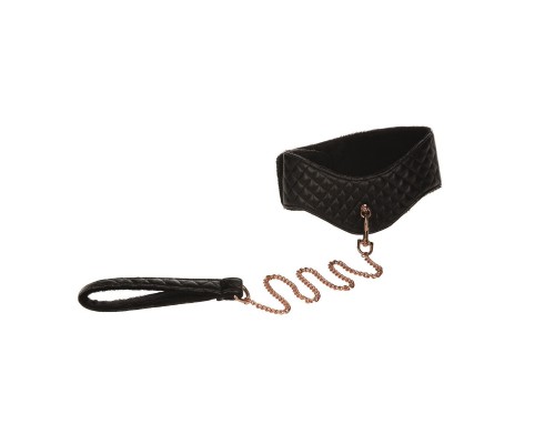 Ошейник с поводком Entice Posture Collar with Leash 