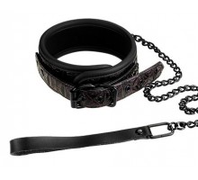 Фиолетово-чёрный ошейник с поводком BLAZE COLLAR AND LEASH PURPLE